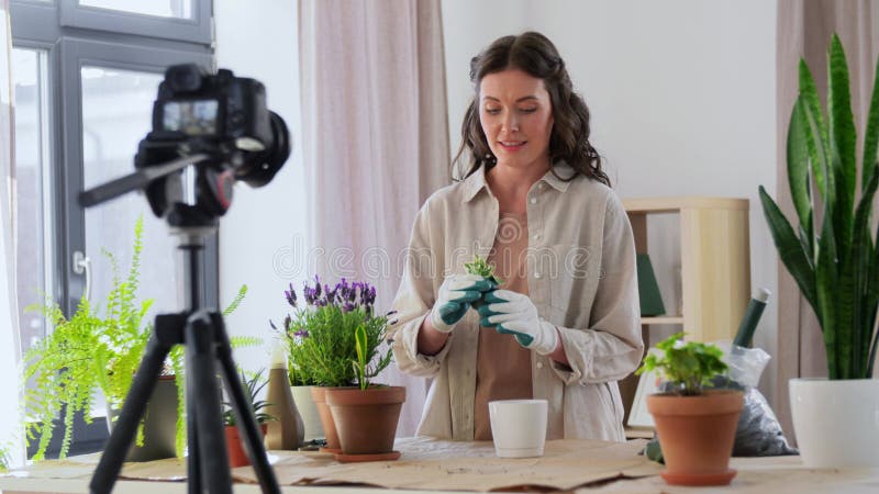 Gelukkige vrouw of blogger die thuis bloemen plant