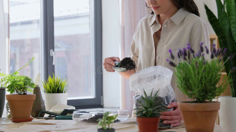 Gelukkige vrouw die thuis bloemen plant