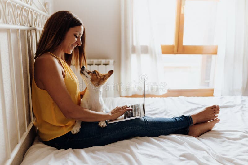 Gelukkige vrouwenzitting op bed het typen op laptop met haar terriër van hondjack russell op haar benen bij zonsondergang stock afbeelding Gelukkige vrouwenzitting op bed het typen op laptop met haar terriër van hondjack russell op haar benen bij zonsondergang stock afbeelding
