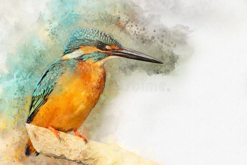 Gemeenschappelijke die Ijsvogel - met waterverf wordt geschilderd stock illustratie Gemeenschappelijke die Ijsvogel - met waterverf wordt geschilderd stock illustratie