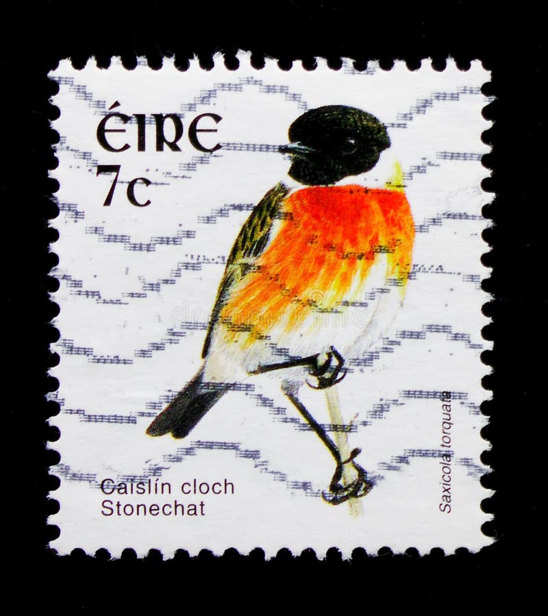 Gemensam Stonechat Saxicolatorquata, fågelDefinitives serie 2002-2004, circa 2003 royaltyfria bilder Gemensam Stonechat Saxicolatorquata, fågelDefinitives serie 2002-2004, circa 2003 royaltyfria bilder
