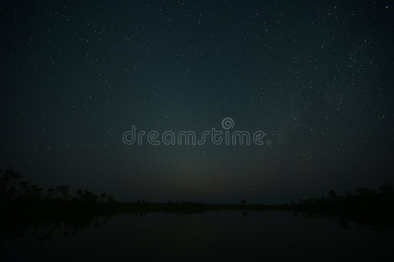 Geminid meteor i pole gwiazd nad jeziorem sosnowym w everglades. obrazy royalty free