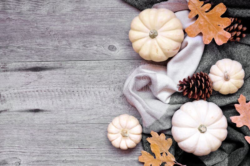 Gemütliche Herbstflanke mit weißen Kürbisblättern und natürlichem Dekor auf grauem Holzfußboden stockfotografie