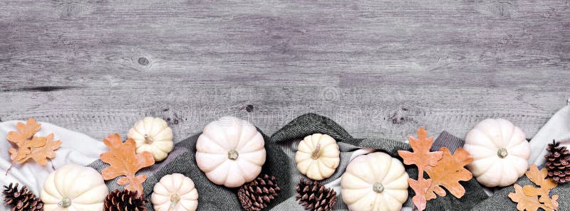 Gemütliche Herbstuntergrenze mit weißen Kürbisblättern und natürliche Dekoration auf grauem Holzbannerhintergrund stockbilder