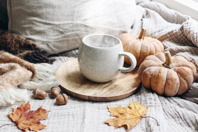 Gemütliches Herbstfrühstück am Morgen noch lebendig Heißer Kaffee, Tee auf Holzplatte neben Fenster lizenzfreies stockbild