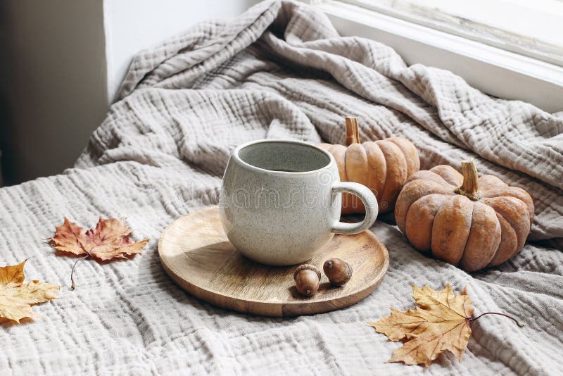 Gemütliches Herbstfrühstück am Morgen noch lebendig Tee aus heißem Kaffee, Tee auf Holzteller neben dem Fenster Niedergang lizenzfreie stockfotos