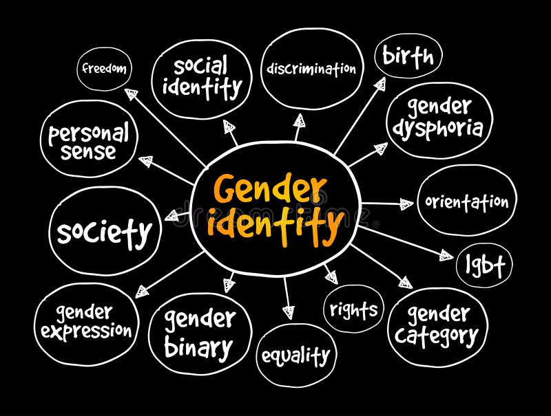 Gender Identity Mind Map Concept For Presentations And Reports Stock Illustration