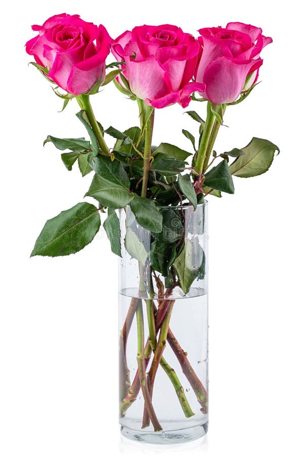 Pink roses in a vase. Rose flower. Flowers for florist shop. Plant petals. Bouquet on wedding, marriage royalty free stock photos