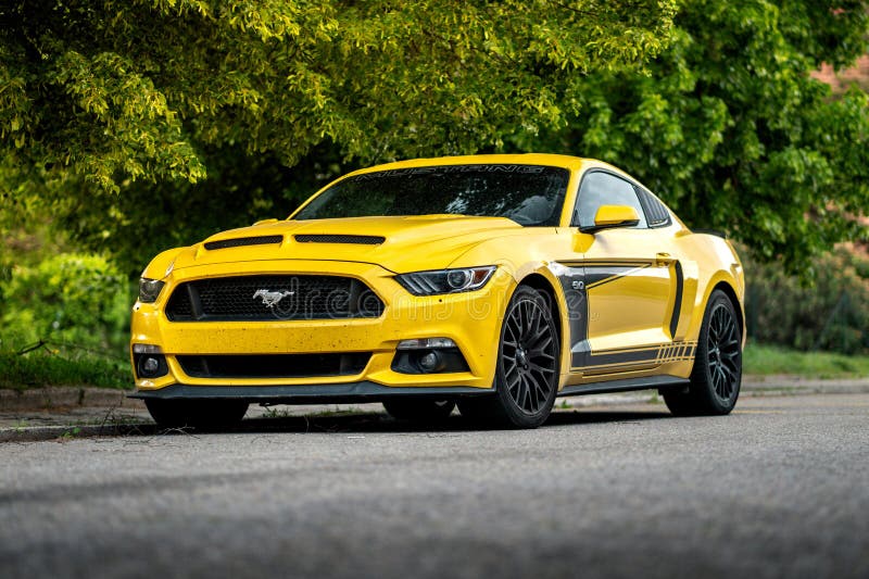 [Image: generated-image-316892712.jpg]