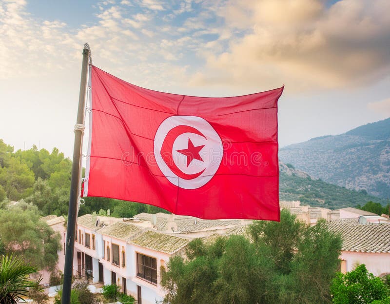 Tunisia Flag. The National Flag of Tunisia royalty free illustration