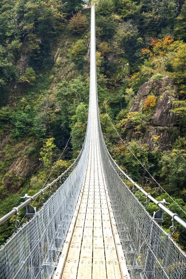A long suspension bridge stretches across a forested ravine.