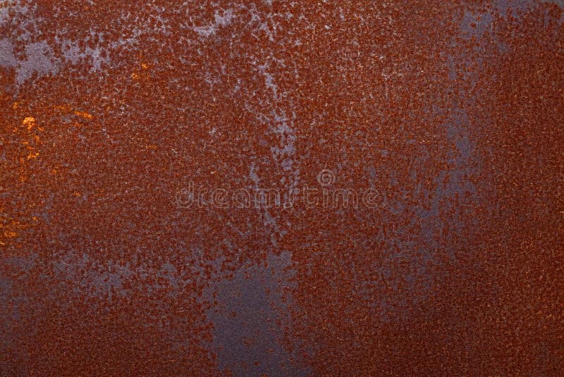 Pucciniaceae stock illustrations 3 pucciniaceae stock illustrations