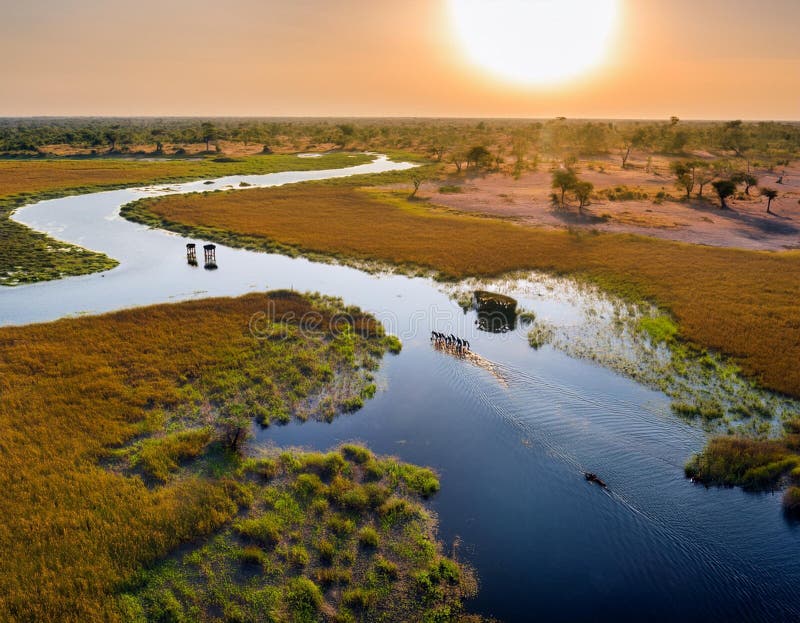 A stunning aerial view of the Okavango Delta, with elephants, mokoro canoes, and lush wetlands at sunrise. Delta lush illustrations
