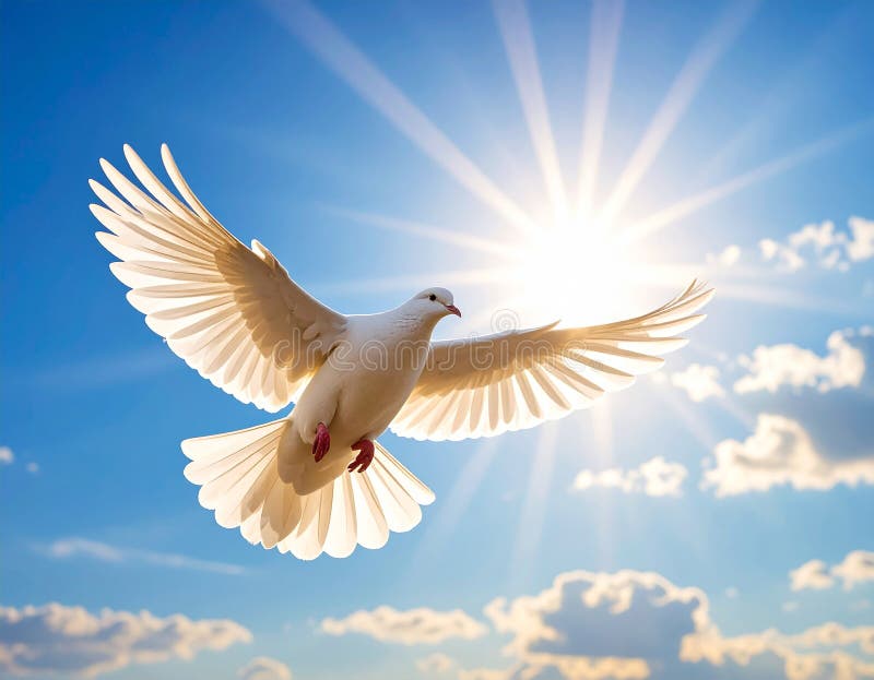 A white dove (Columba livia domestica) is in mid-flight against a bright blue sky filled with fluffy white clouds. The bird is centrally positioned, with its wings fully spread, showcasing its feathers. Behind the dove, sunlight radiates outward, creating a dramatic halo effect. The sunlight enhances the purity and grace of the bird, often symbolizing peace and hope. The dove's red feet and beak add contrast to its white plumage. Beautiful white dove flying in sky under sunlight. Al Generated. Radiates hope illustrations