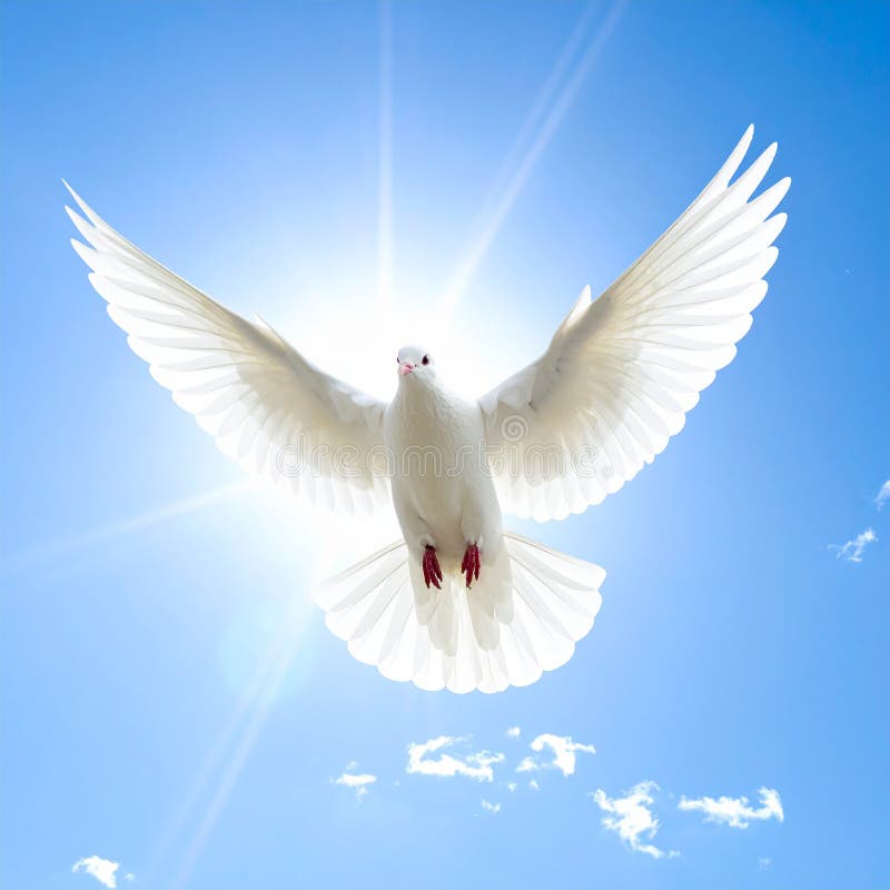 A white dove (Columba livia domestica) is in mid-flight against a bright blue sky filled with fluffy white clouds. The bird is centrally positioned, with its wings fully spread, showcasing its feathers. Behind the dove, sunlight radiates outward, creating a dramatic halo effect. The sunlight enhances the purity and grace of the bird, often symbolizing peace and hope. The dove's red feet and beak add contrast to its white plumage. Beautiful white dove flying in sky under sunlight. Al Generated. Radiates hope illustrations