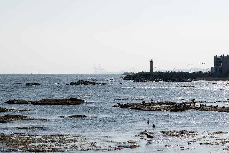 idyllic seascape with a lighthouse on the jetty