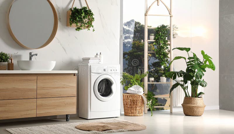 Modern laundry room with natural elements vector illustration