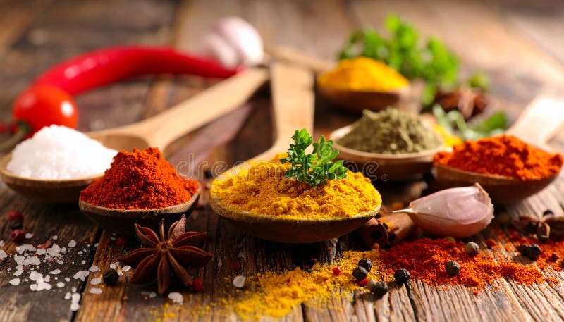 Spices- Curry- Chilli- Cinnamon- Curcuma- Garlic- Parsley- Oregano- Salt and Pepper royalty free illustration