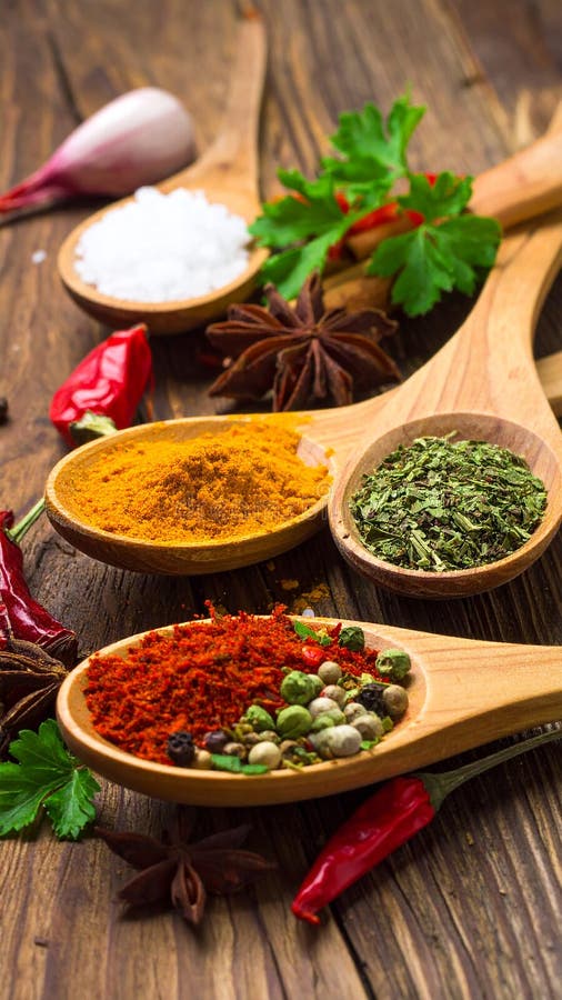Spices- Curry- Chilli- Cinnamon- Curcuma- Garlic- Parsley- Oregano- Salt and Pepper stock illustration