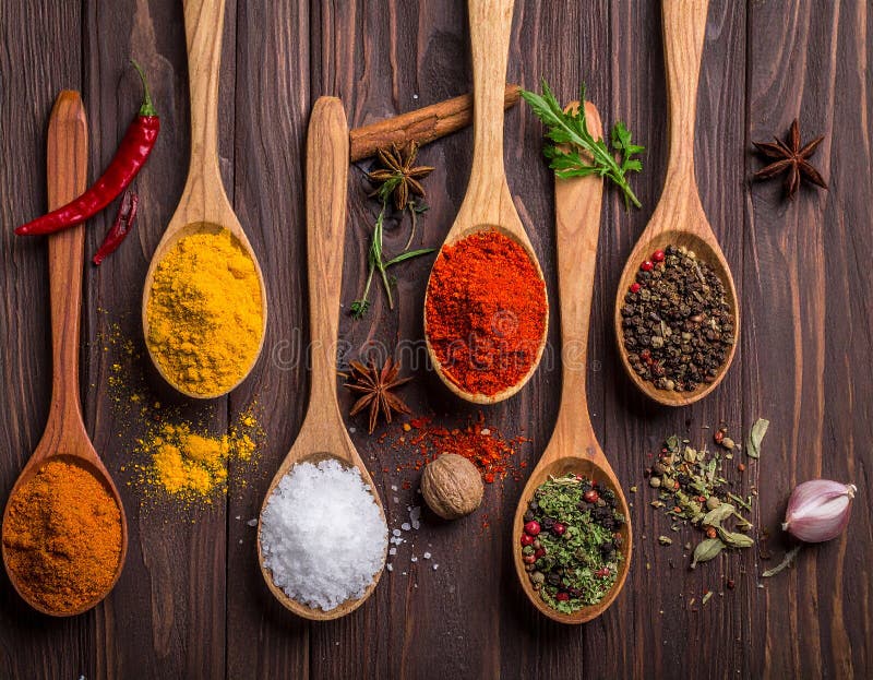 Spices- Curry- Chilli- Cinnamon- Curcuma- Garlic- Parsley- Oregano- Salt and Pepper royalty free illustration