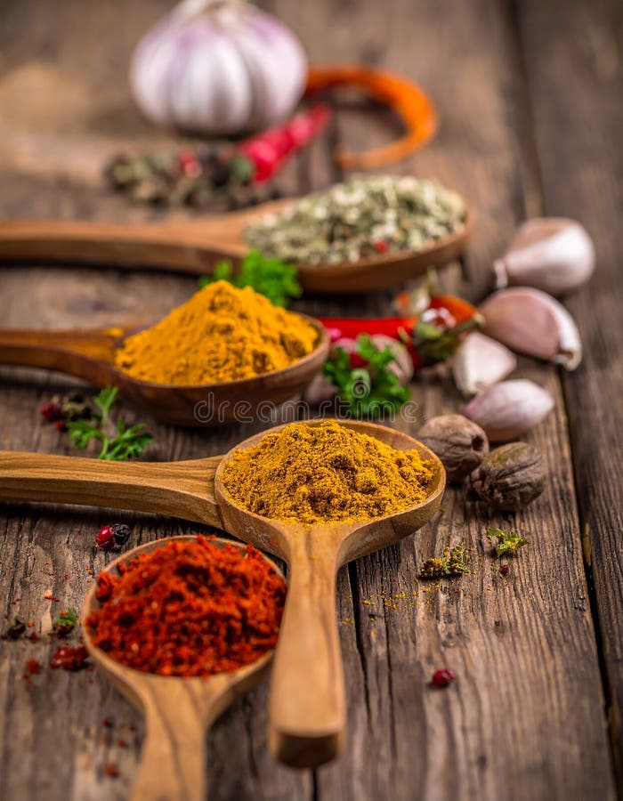 Spices- Curry- Chilli- Cinnamon- Curcuma- Garlic- Parsley- Oregano- Salt and Pepper vector illustration