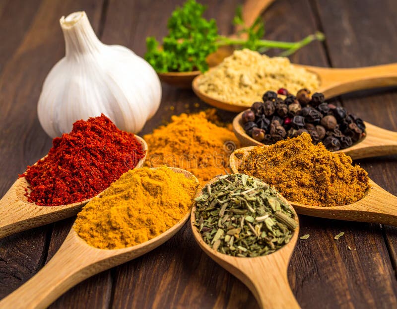 Spices- Curry- Chilli- Cinnamon- Curcuma- Garlic- Parsley- Oregano- Salt and Pepper vector illustration