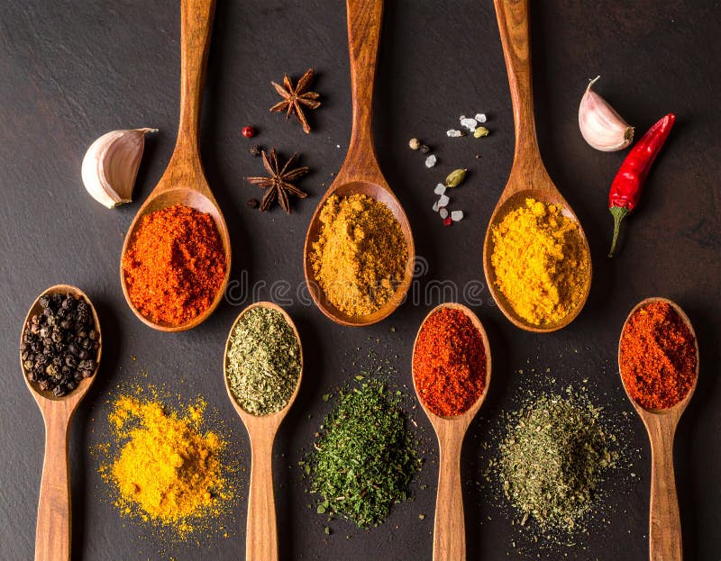 Spices- Curry- Chilli- Cinnamon- Curcuma- Garlic- Parsley- Oregano- Salt and Pepper stock illustration