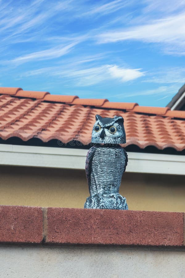 Intimidating decoy plastic owl set up on a yard wall. royalty free stock photography