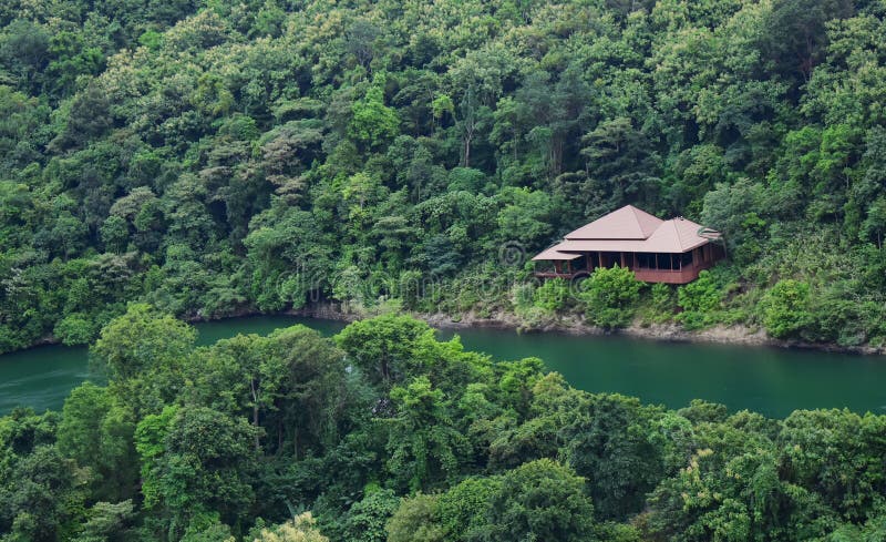 Making background images nature and trees stock images