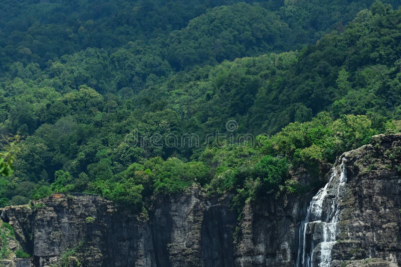 Making background images nature and trees stock photo