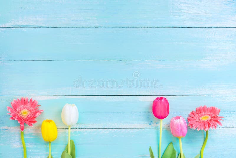 Generi differenti di fiori variopinti nella linea su fondo di legno blu fotografie stock libere da diritti