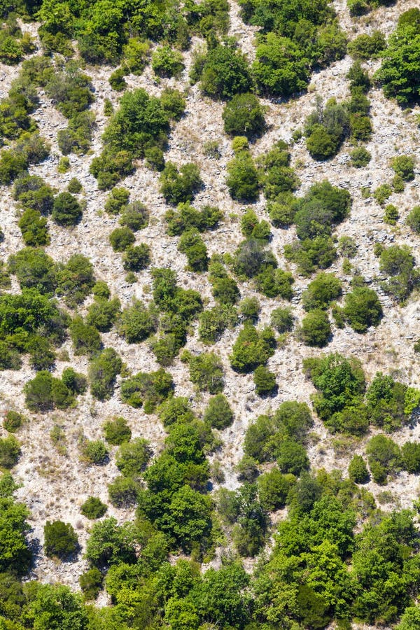 Generische bergvegetatie Lucht Mening Bomen en terrein royalty-vrije stock afbeeldingen Generische bergvegetatie Lucht Mening Bomen en terrein royalty-vrije stock afbeeldingen