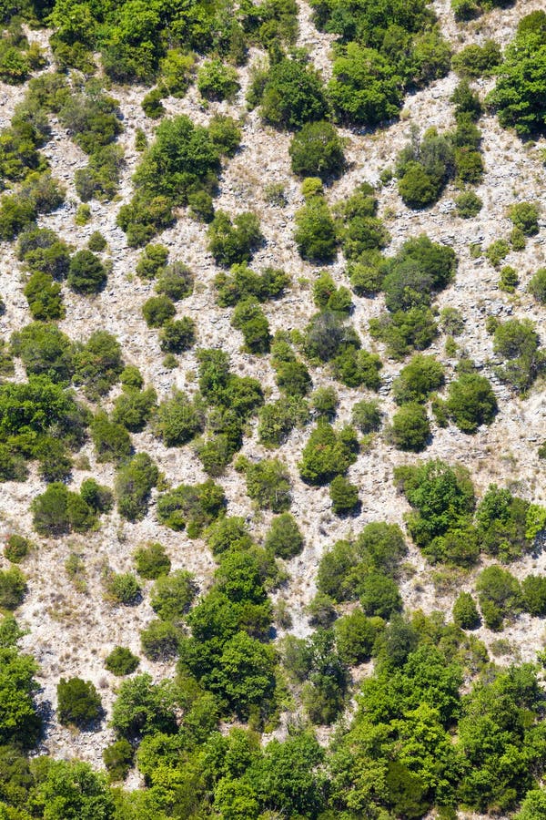 Generische Gebirgsvegetation Schattenbild des kauernden Geschäftsmannes Bäume und Gelände