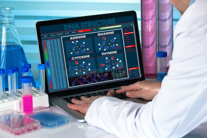 Genetic engineer using computer with structure test dna in biotechnology lab