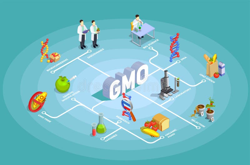 Genetically Modified Organisms Isometric Flowchart vector illustration Genetically Modified Organisms Isometric Flowchart vector illustration