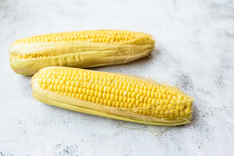 Modified Sweet Corn for Food Use, Isolated on Simple