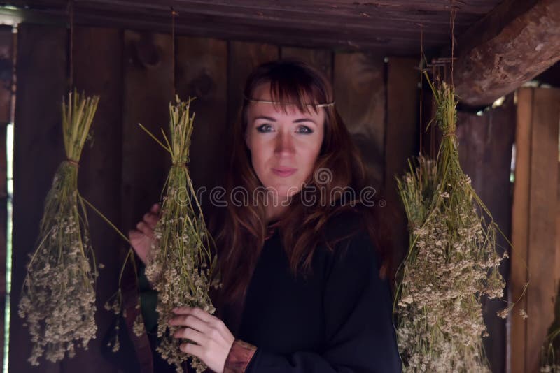 Genezer met droge kruiden stock afbeelding Genezer met droge kruiden stock afbeelding
