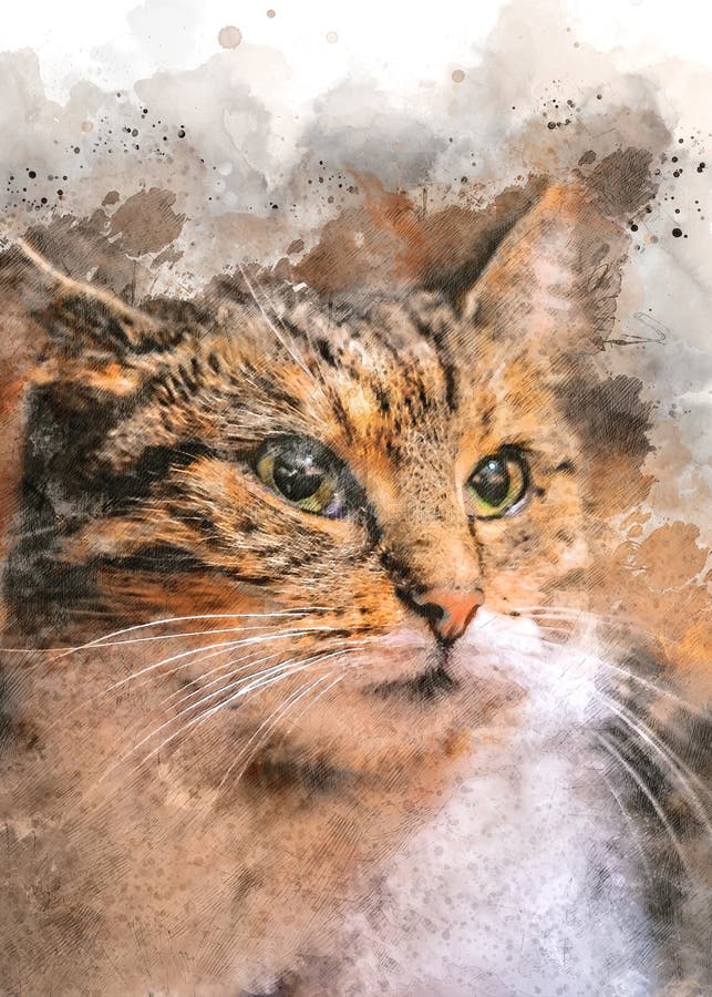 Como Aprender a Desenhar Um Gato Gengibre Adormecido Bonito. Pintura De  Aquarela Passo a Passo. Página Educativa Para Artistas. Ilustração do Vetor  - Ilustração de pintura, desenho: 223661901