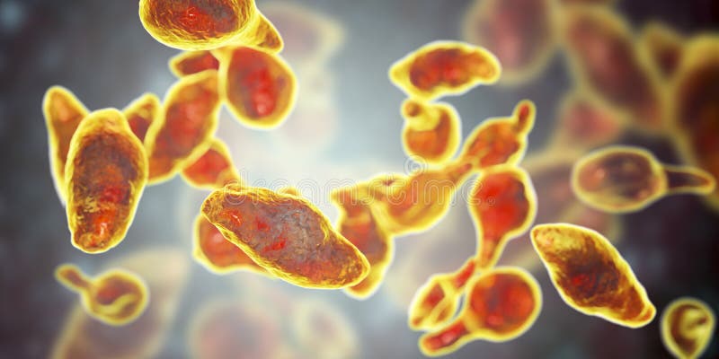 Genitalium do Mycoplasma das bactérias ilustração do vetor Genitalium do Mycoplasma das bactérias ilustração do vetor