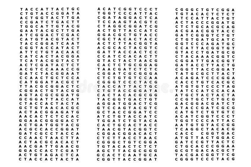 Human genome with DNA sequences consisting of adenosine, cytosine, thymine and guanine base pairs (A, C, T and G). Human genome with DNA sequences consisting of adenosine, cytosine, thymine and guanine base pairs (A, C, T and G)