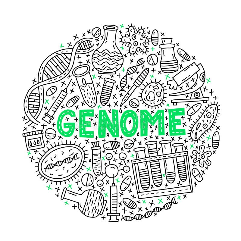 Genome. Circle Doodle Illustration Stock Vector Illustration of blood