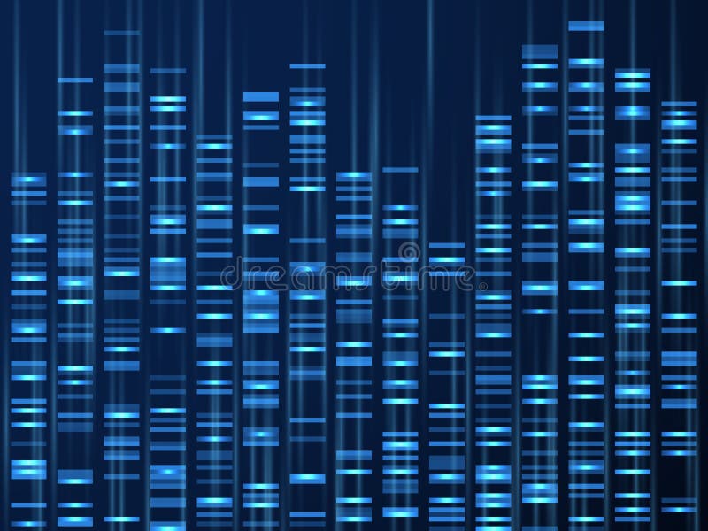 Genomic data visualization. Dna genome sequence, medical genetic map. Genealogy barcode vector background royalty free illustration
