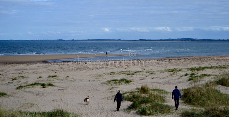 Gens marchant chiens sur dornoch sandale plage écossaise