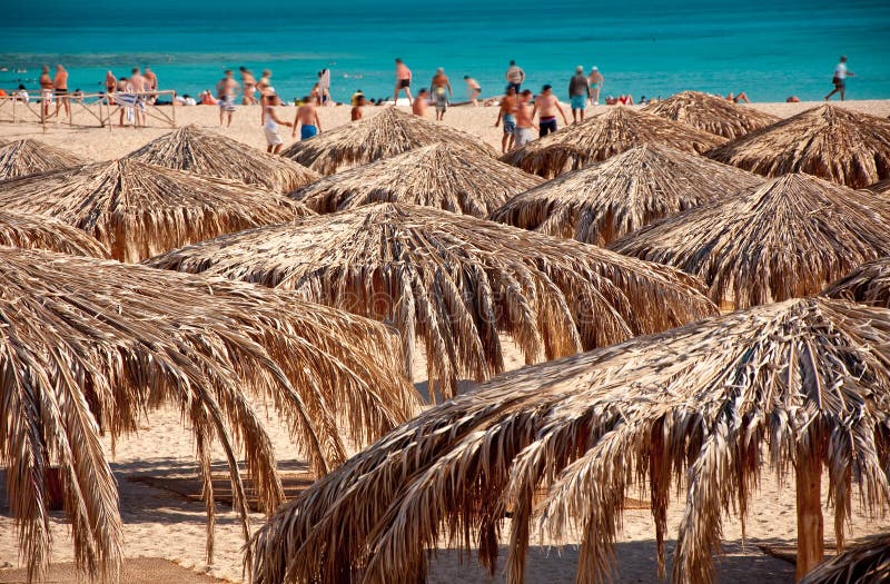 Sunshade beach and green ocean. Active people. Sunshade beach and green ocean. Active people