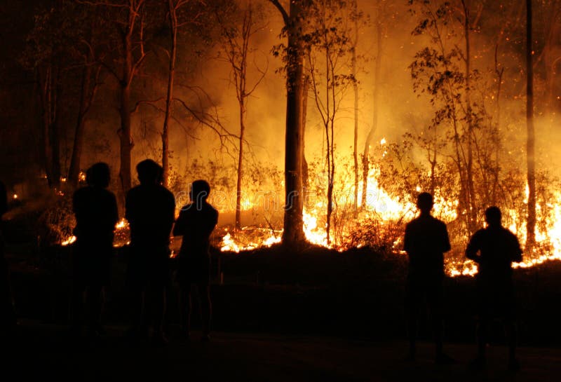 Gente que mira Bushfire imágenes de archivo libres de regalías Gente que mira Bushfire imágenes de archivo libres de regalías