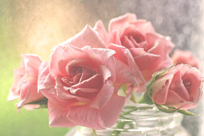 Gentle aquarel pink roses