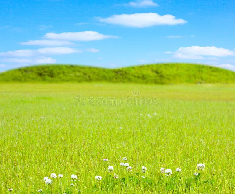 Gentle hill in a beautiful field