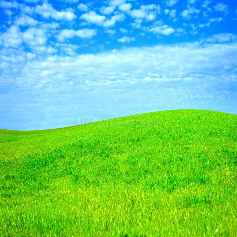 Gentle hill stock photo. Image of grass, field, outdoor 9497710