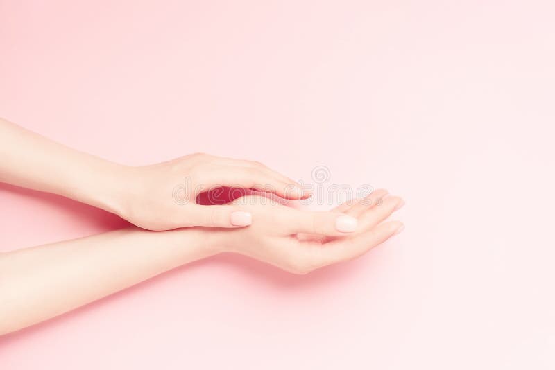 Gentle perfect nude manicure. Female hands on a pastel pink background. Design element. Space for text.