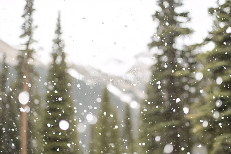 Gently falling snow blankets the evergreen trees, with soft focus enhancing the serene quietness, as light blues, Generated AI vector illustration